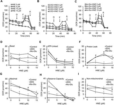 Differential Effects of 2-Deoxyglucose and Glucose Deprivation on 4-Hydroxynonenal Dependent Mitochondrial Dysfunction in Primary Neurons